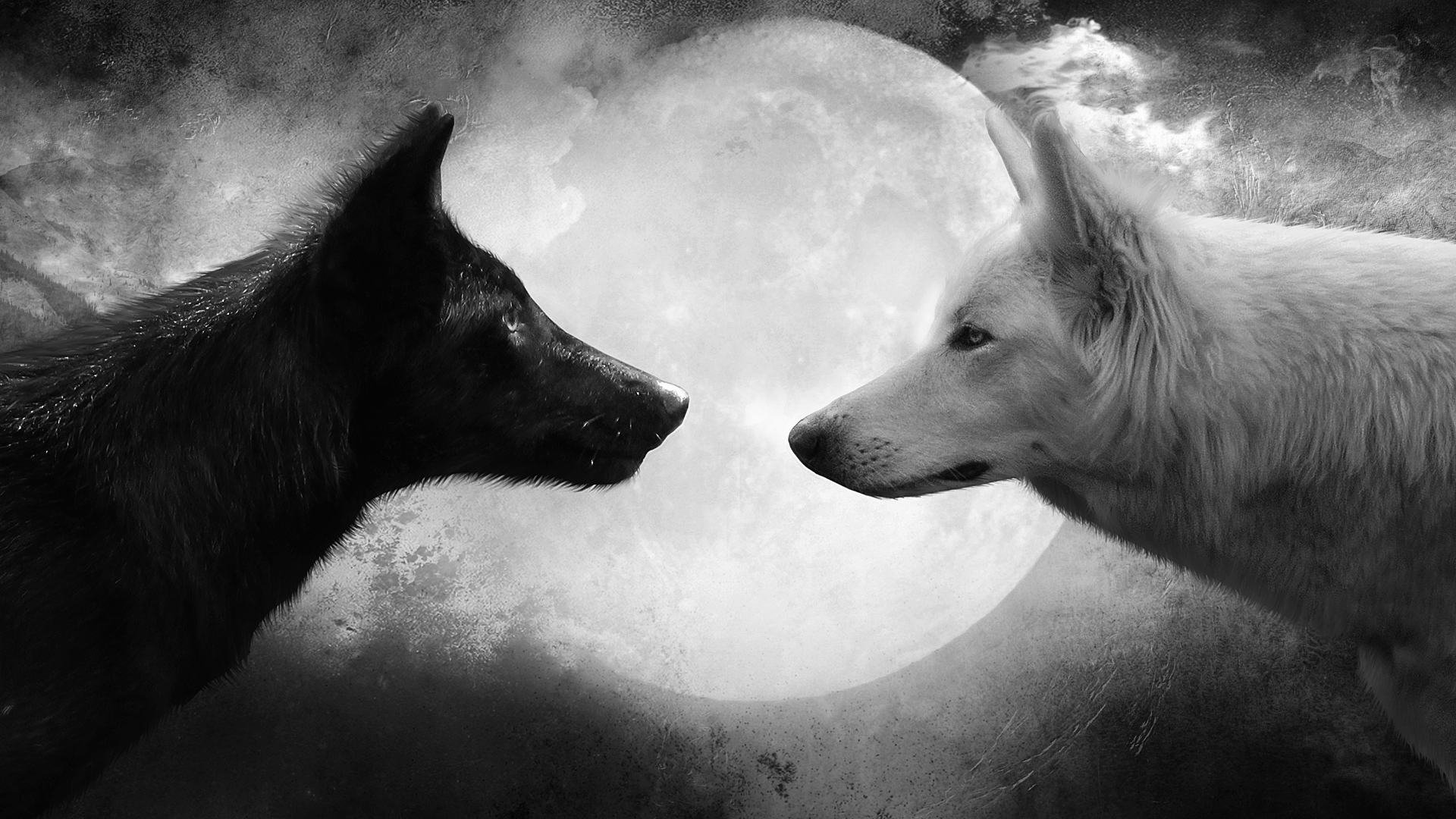 wolf-moon-black-white.jpg